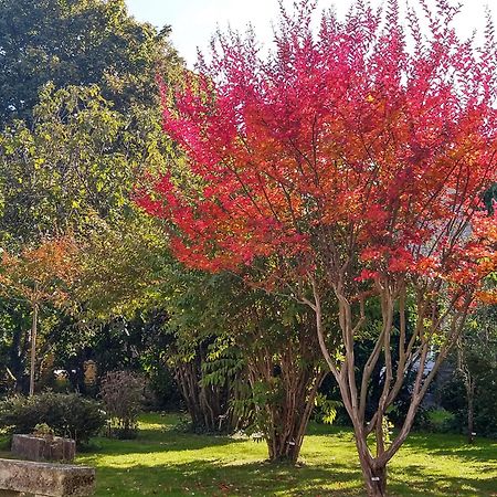 Fléac-sur-Seugne La Demeure D'Ezildaヴィラ エクステリア 写真