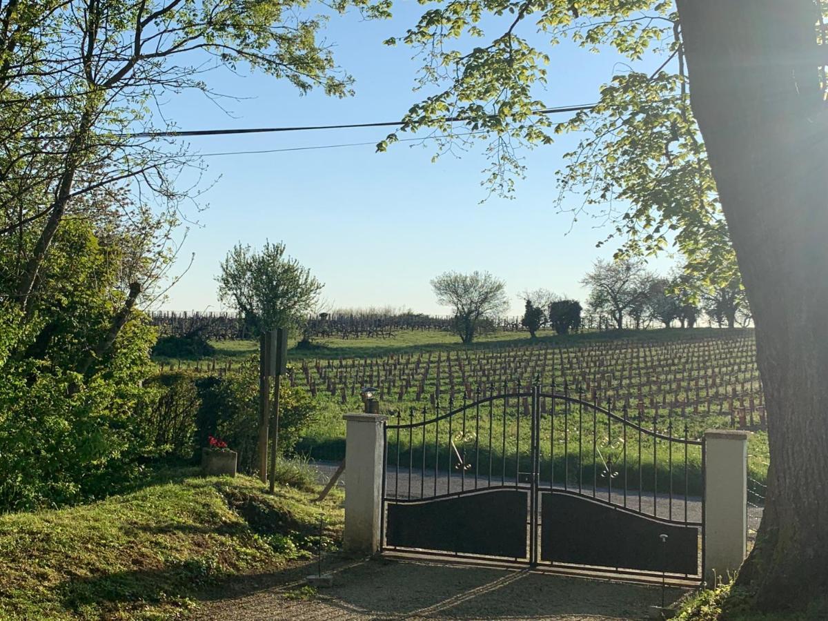 Fléac-sur-Seugne La Demeure D'Ezildaヴィラ エクステリア 写真