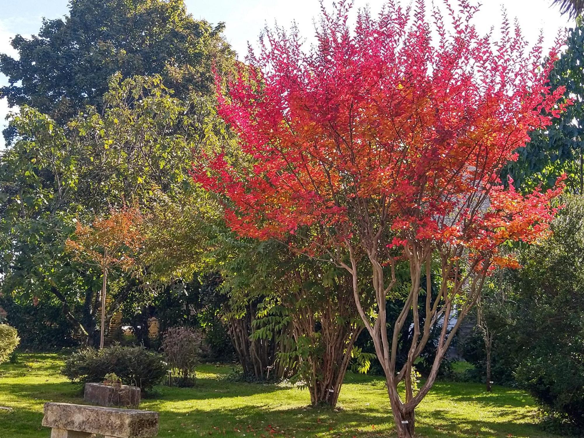 Fléac-sur-Seugne La Demeure D'Ezildaヴィラ エクステリア 写真